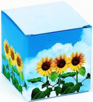 Würfel Sonnenblume, Zwergsonnenblume, 1-4 c Digitaldruck inklusive