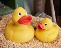 Vorschau: Quietsche-Ente Giant Vorschau: Quietsche-Ente Giant