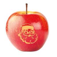 LogoFrucht Apfel Nikolaus