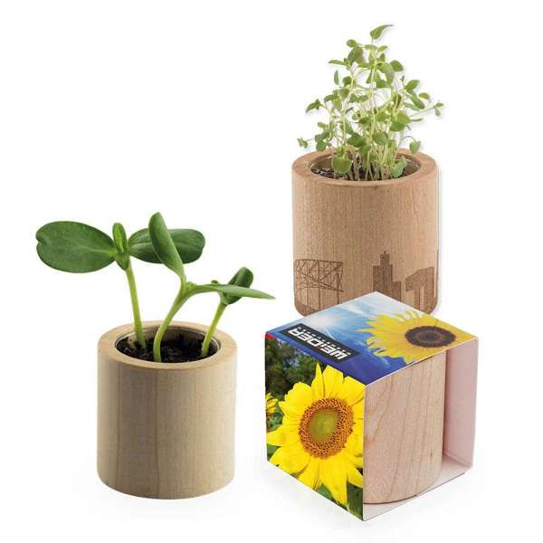 Pflanz-Holz rund mit Samen - Sonnenblume, Rundum-Lasergravur