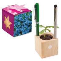 Pflanz-Holz Büro Star-Box - Vergissmeinnicht, ohne Laserung