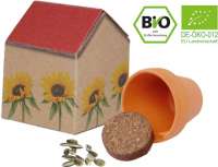 Natur-Häuschen Sonne, Tontöpfchen, Bio Sonnenblume, 1-4 c Digitaldruck inklusive