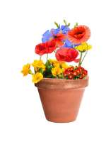 Vorschau: Flobba Samenkugel Vorschau: Flobba Samenkugel