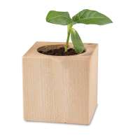 Vorschau: Pflanz-Holz - Standardmotiv - Sonnenblume - 2 Seiten gelasert Vorschau: Pflanz-Holz - Standardmotiv - Sonnenblume - 2 Seiten gelasert