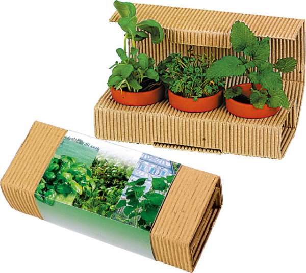 Kräuter-Trio, Basilikum, Kresse, Zitronenmelisse, 1-4 c Digitaldruck inklusive