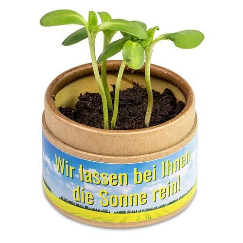 Pflanz-Cup mit Samen