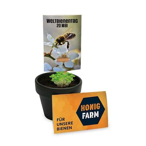 Bienenhelfer-Stick mit Samen