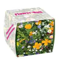 Vorschau: Flower-Ball 1er Box - Standardmotiv Vorschau: Flower-Ball 1er Box - Standardmotiv