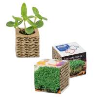 Wellkarton-Pflanzwürfel Mini - Gartenkresse