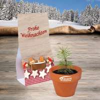 Vorschau: Logo-Töpfchen Überreichverpackung mit Samen - Fichte Vorschau: Logo-Töpfchen Überreichverpackung mit Samen - Fichte