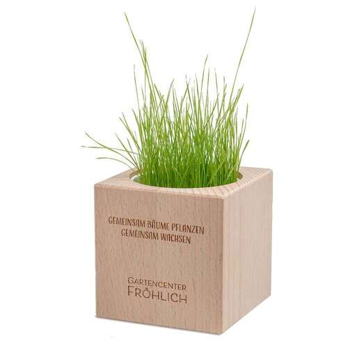 Pflanz-Holz Grande mit Samen