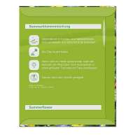 Vorschau: Samentütchen - Standardmotiv - Sommerblumenmischung Vorschau: Samentütchen - Standardmotiv - Sommerblumenmischung