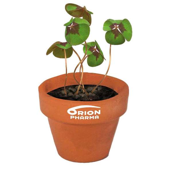 Logo-Töpfchen Überreichverpackung mit Samen - Glücksklee (* Je nach Verfügbarkeit der Glücksklee-Zwi