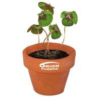 Vorschau: Logo-Töpfchen Überreichverpackung mit Samen - Glücksklee (* Je nach Verfügbarkeit der Glücksklee-Zwi Vorschau: Logo-Töpfchen Überreichverpackung mit Samen - Glücksklee (* Je nach Verfügbarkeit der Glücksklee-Zwi