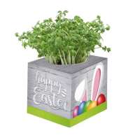 Vorschau: Pflanz-Würfel 2.0 mit Samen - Ostern Vorschau: Pflanz-Würfel 2.0 mit Samen - Ostern