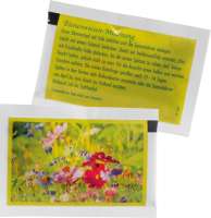 Samentütchen Biene 80 x 55 mm