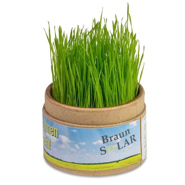 Pflanz-Cup mit Samen - Thymian