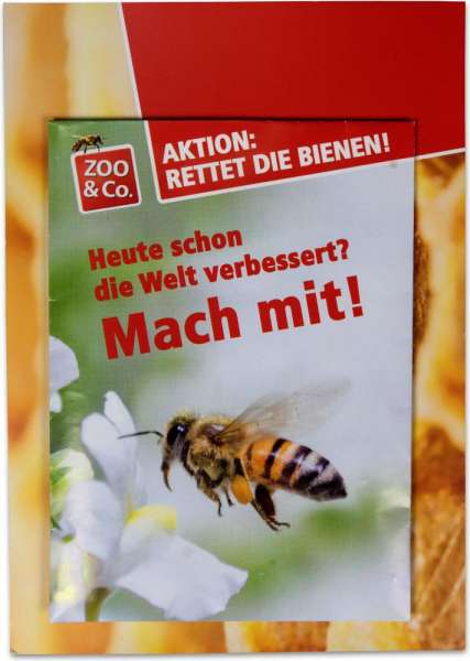 Samentütchen Groß - Vergissmeinnicht