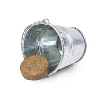 Vorschau: Pflanzeimerchen mit Samen - Ringelblume Vorschau: Pflanzeimerchen mit Samen - Ringelblume