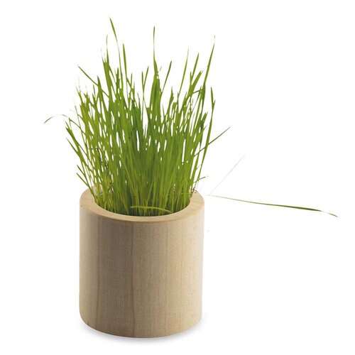 Pflanz-Holz rund mit Samen