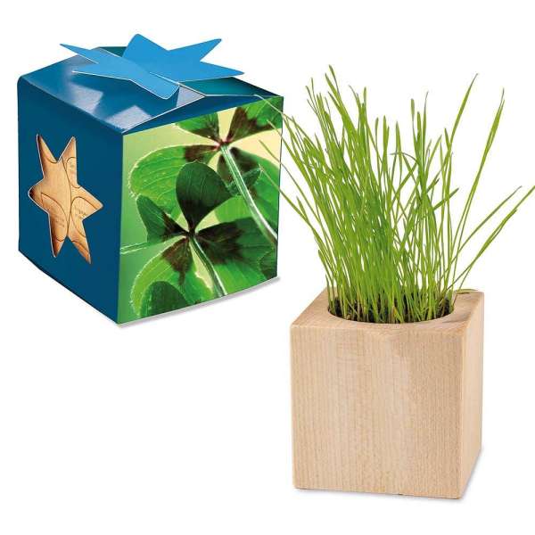 Pflanz-Holz Maxi Star-Box mit Samen - Glücksklee-Zwiebel (* Je nach Verfügbarkeit der Glücksklee-Zwi