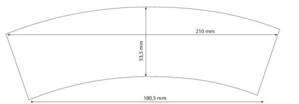 Silberstern-Bäumchen 20-30 cm, in Einzelkartonage