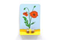 Kärtchen mit 1er Seedpill - Klatschmohn