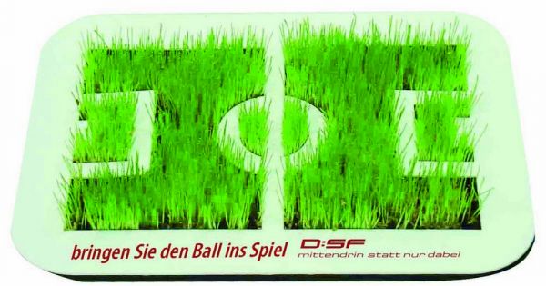 Wachsende Fußball-Arena, Zimmerrasen, 1-4 c Digitaldruck inklusive