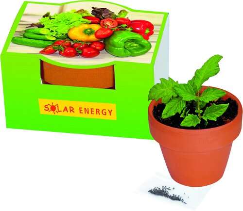 Naschgemüse-Töpfchen Cocktail Tomate