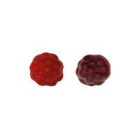 Vorschau: BIO Beerenfrüchtchen vegan Werbetüte Vorschau: BIO Beerenfrüchtchen vegan Werbetüte