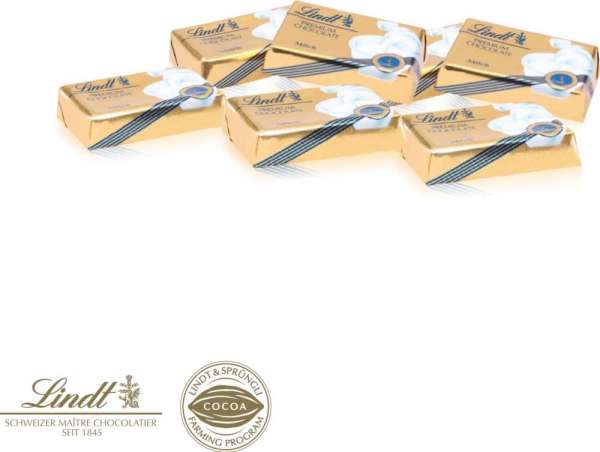 Lindt Schokotäfelchen in Präsentbox Business