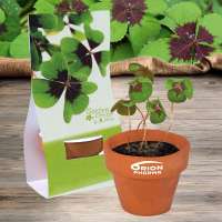 Vorschau: Logo-Töpfchen Überreichverpackung mit Samen - Glücksklee (* Je nach Verfügbarkeit der Glücksklee-Zwi Vorschau: Logo-Töpfchen Überreichverpackung mit Samen - Glücksklee (* Je nach Verfügbarkeit der Glücksklee-Zwi