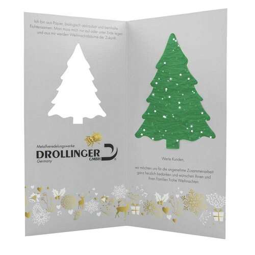 Samenpapier-Karte Fichte