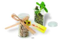 Mini-Glasshouse Sonne