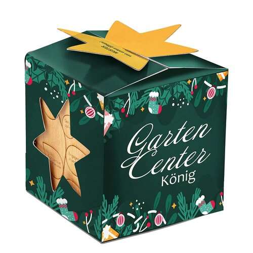 Pflanz-Holz Maxi Star-Box Xmas mit Fichtensamen