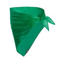 Vorschau: Halstuch Wasat Vorschau: Halstuch Wasat