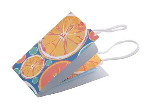 MasCase Gesichtsmasken-Etui