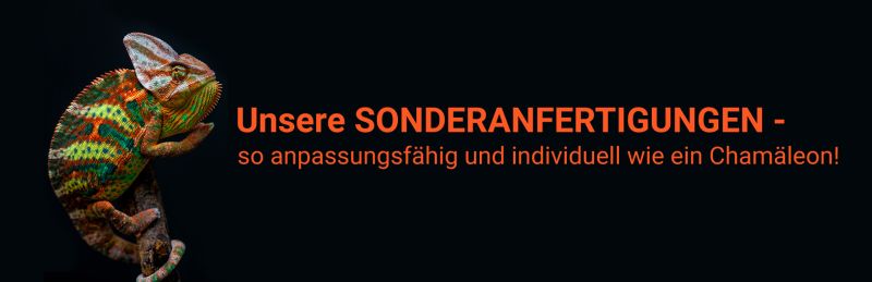 media/image/Cham-leon_Teaser_1920x621px_NEU.jpg