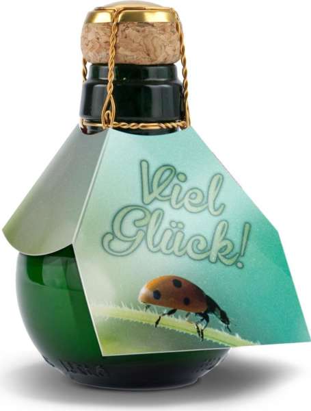 Kleinste Sektflasche der Welt! Viel Glück - Inklusive Geschenkkarton, 125 ml