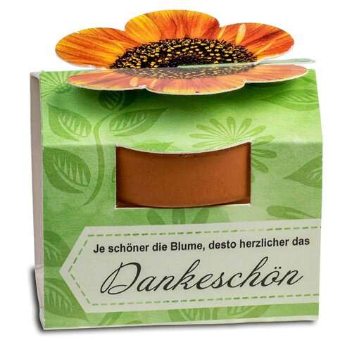 Tontöpfchen-Blume mit Samen