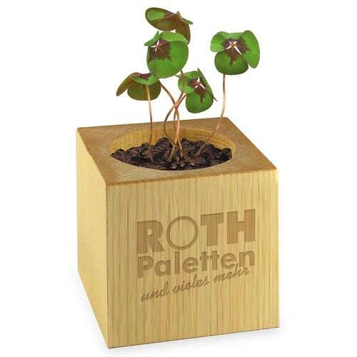 Pflanz-Holz - Standardmotiv - Glücksklee