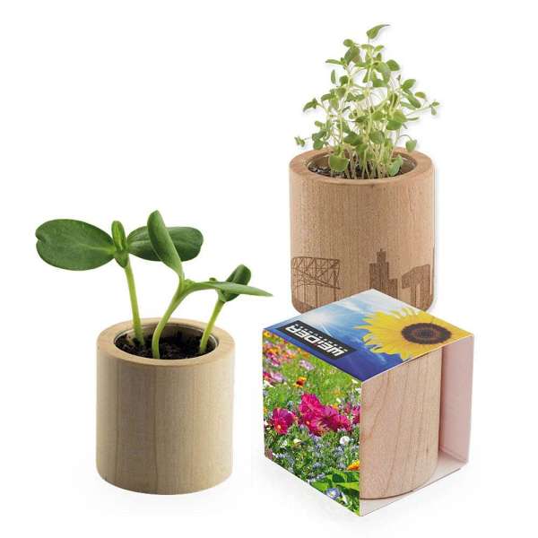 Pflanz-Holz rund mit Samen - Sommerblume, Rundum-Lasergravur