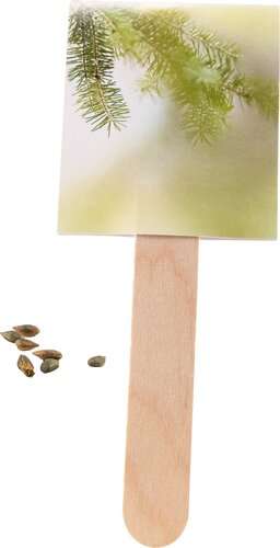 Wachsender Weihnachtsgruß