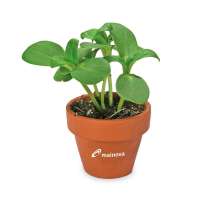 Vorschau: Tontöpfchen-Blume mit Samen - Gartenkresse inkl. Tampondruck Vorschau: Tontöpfchen-Blume mit Samen - Gartenkresse inkl. Tampondruck