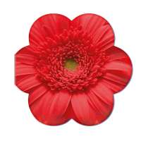 Vorschau: Samenpapier in Klappkärtchen Blume - Blümchen Vorschau: Samenpapier in Klappkärtchen Blume - Blümchen