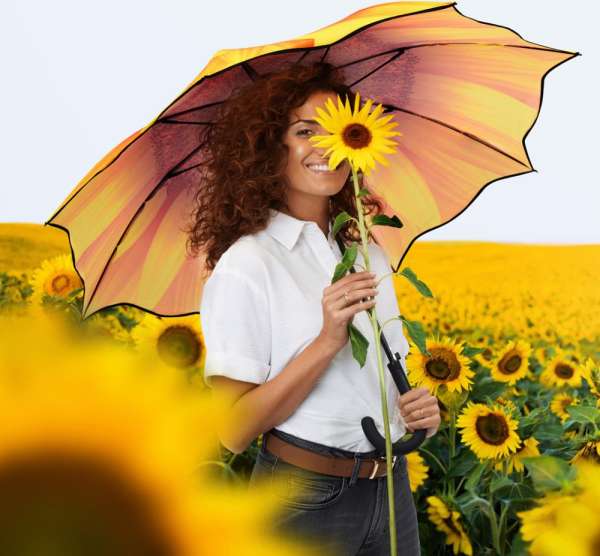 AC-Stockschirm FARE® Motiv