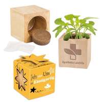 Pflanz-Holz Star-Box Ostern mit Samen - Eierbaumsamen, 2 Seiten gelasert