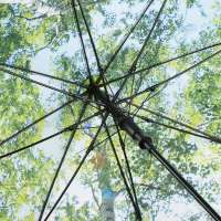 Vorschau: AC-Stockschirm FARE® Nature Vorschau: AC-Stockschirm FARE® Nature