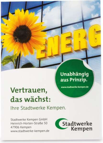 Samentütchen Groß - Vergissmeinnicht
