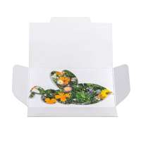 Vorschau: Samenpapier in Klappkärtchen - Bienchen Vorschau: Samenpapier in Klappkärtchen - Bienchen